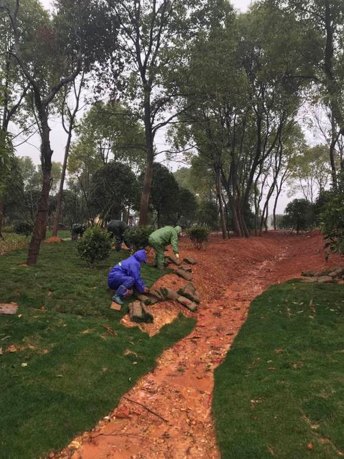 程家九龍公園綠化加緊施工,工人冒雨作業.